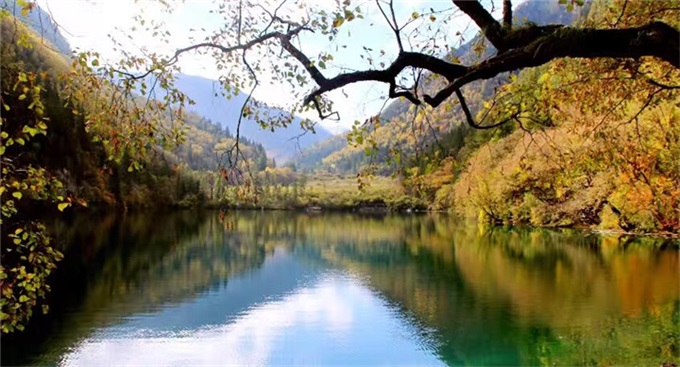 ca88手机客户端(安卓/苹果)CA88会员登录入口